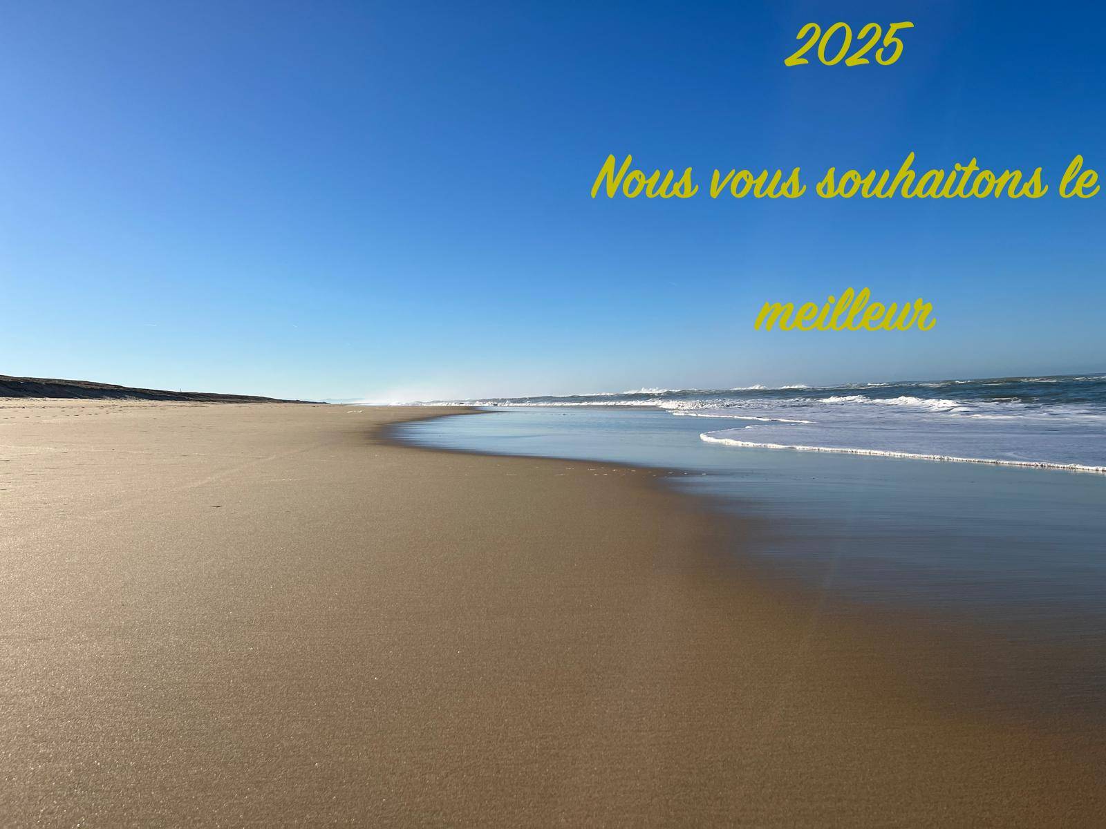 Bonne année !!!